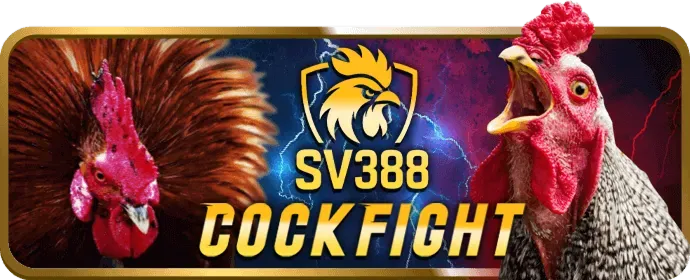Chương trình hoàn trả hàng ngày tại sowin5